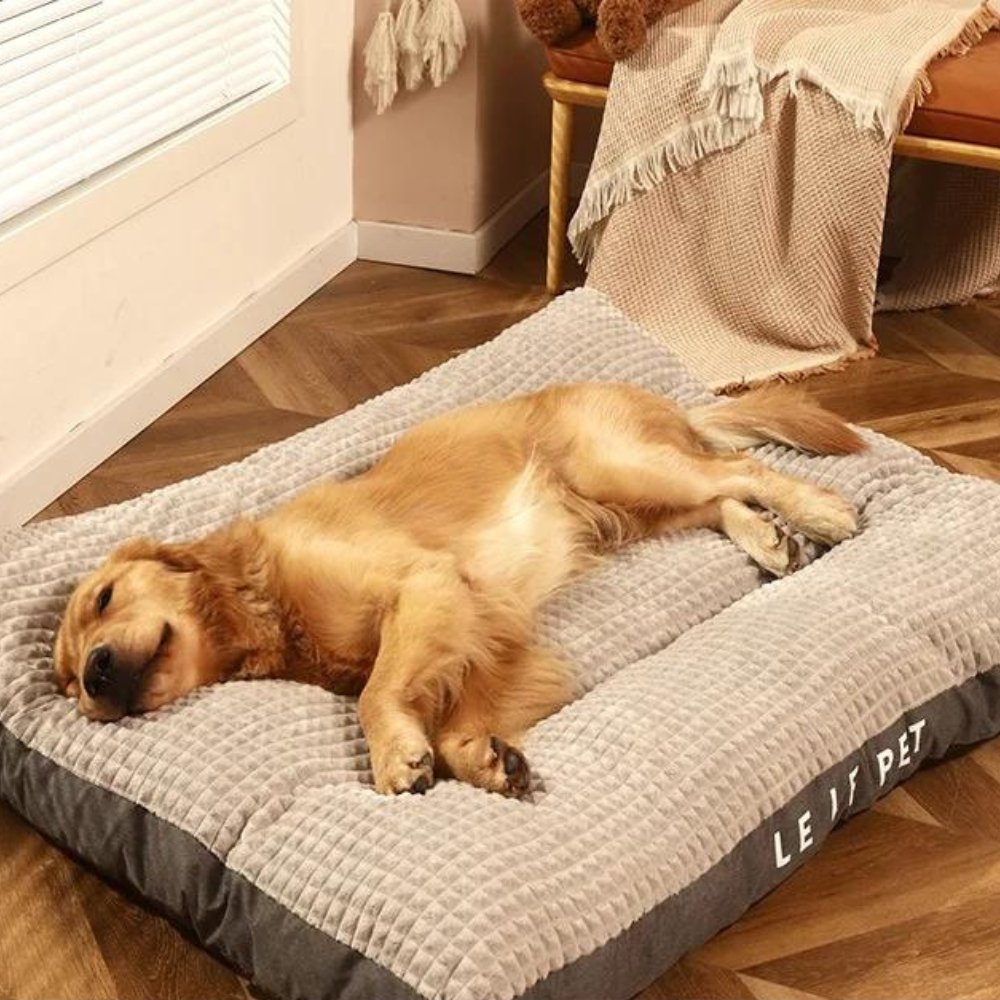 Close-up of soft, plush fleece dog bed, offering luxurious warmth & comfort for your pet. Washable design.