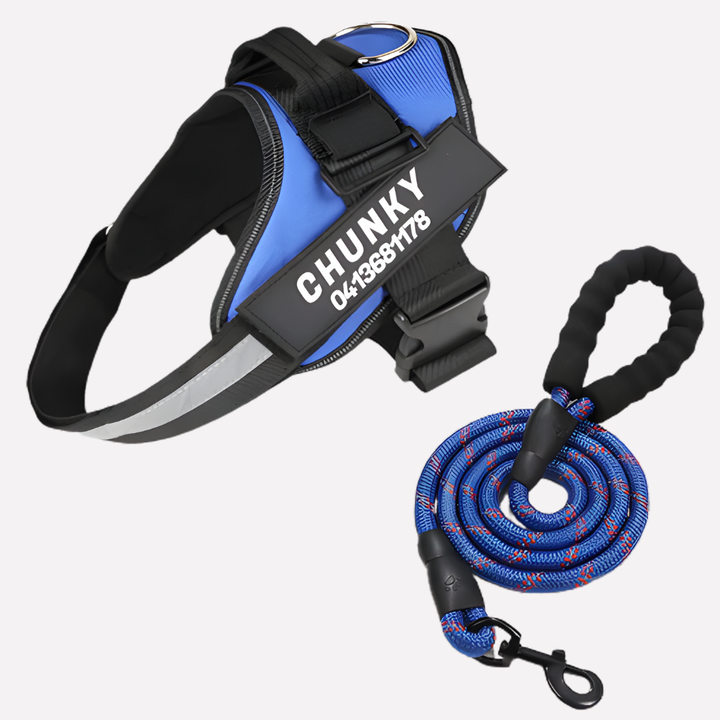 Custom anti-pull dog harness with personalized ID, ideal for training and comfortable daily walks.