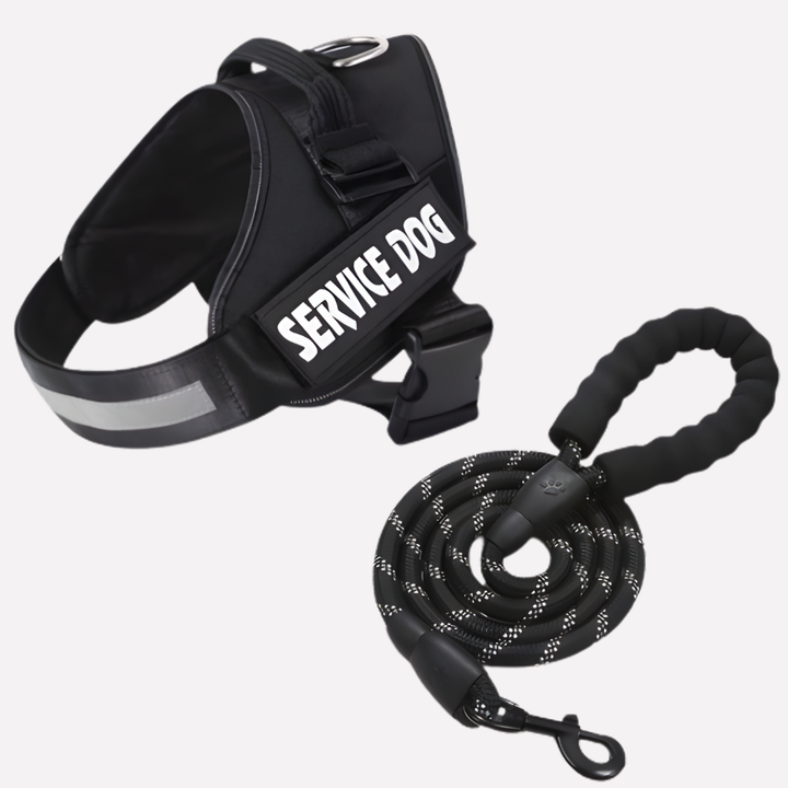 No-pull dog harness pet vest with custom ID, perfect for dog training & comfortable walks. Reflective for safety.