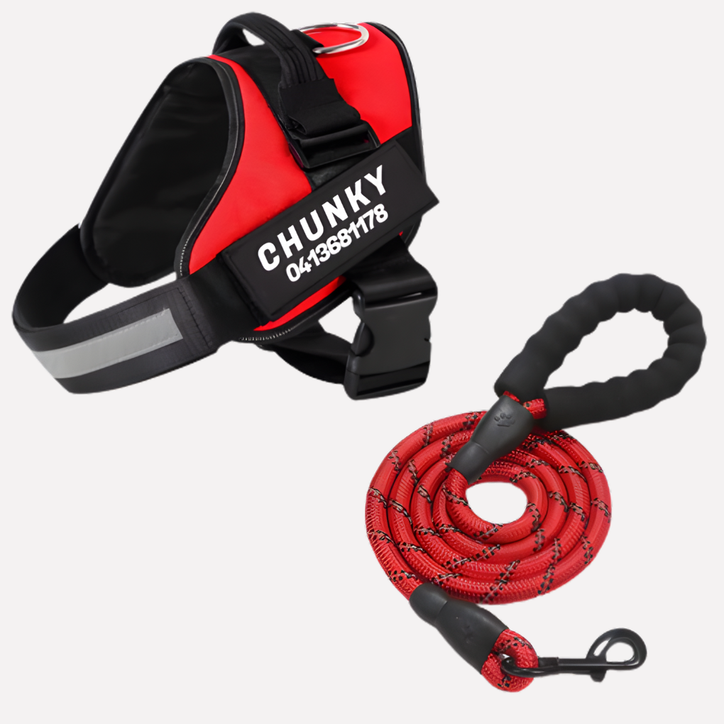 Personalized dog harness featuring anti-pull design & custom name tag. Durable pet vest for comfortable walking.