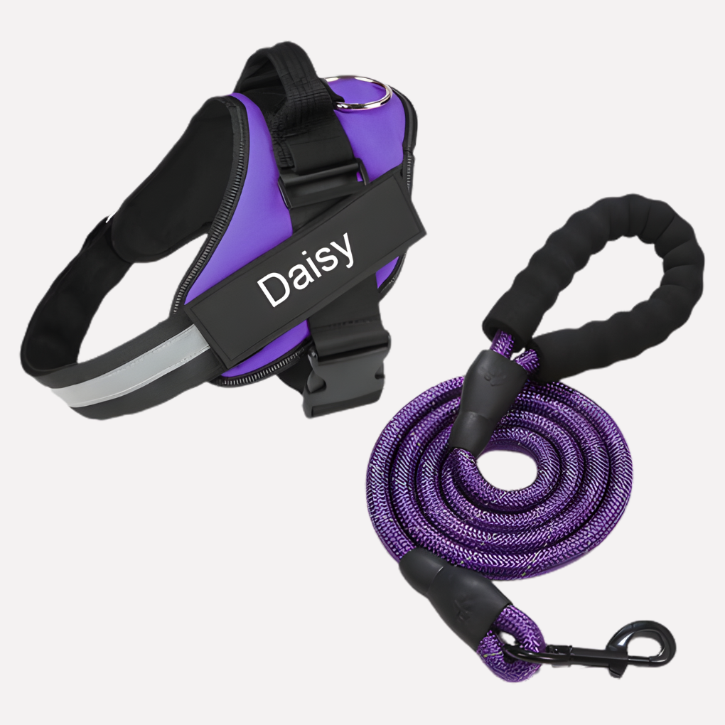 Dog wearing a customizable no-pull harness with ID for safe, comfortable walks. Great pet accessory for training.