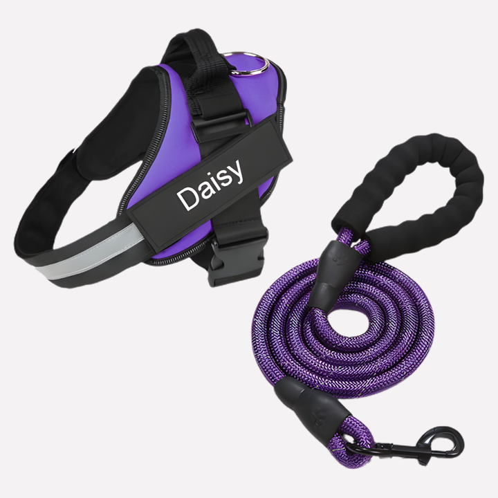 Dog wearing a customizable no-pull harness with ID for safe, comfortable walks. Great pet accessory for training.
