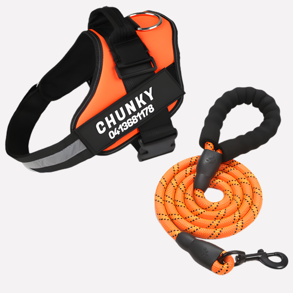 Close-up of personalized ID on a reflective anti-pull dog harness. Secure pet vest for improved dog walking control.