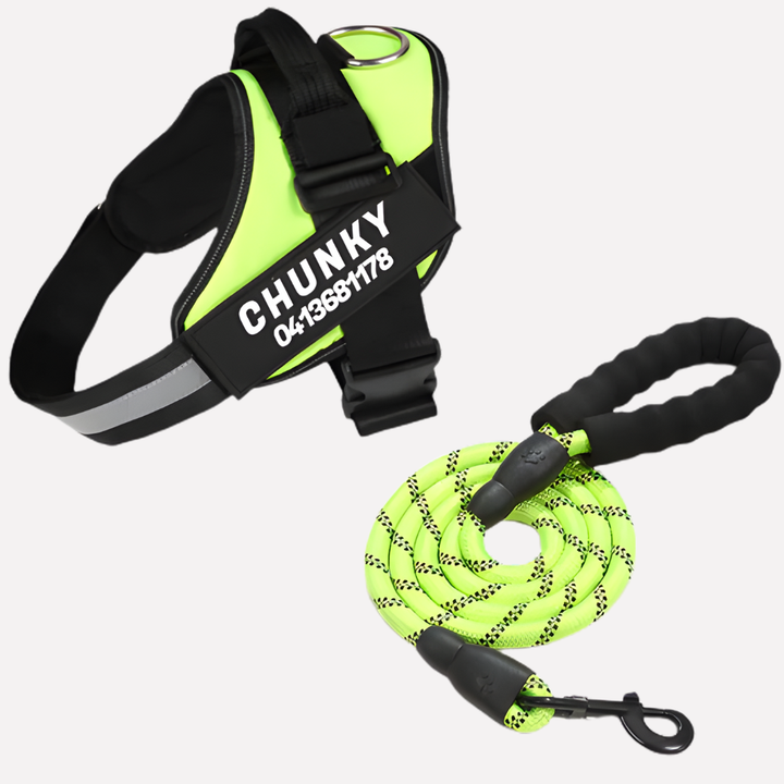 Reflective custom dog harness, no-pull design for effective training. Personalized pet vest ensures comfortable dog walks.