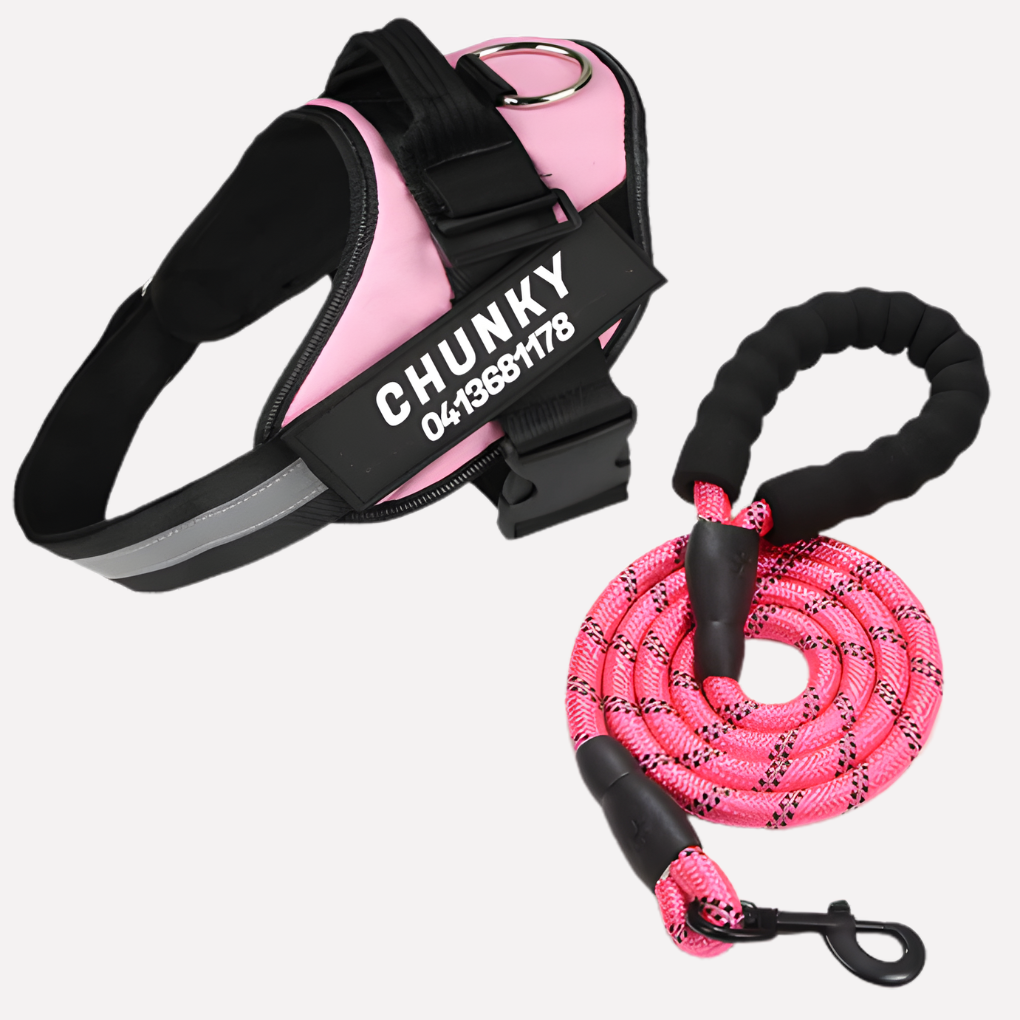Comfortable anti-pull dog harness with custom ID. Durable & personalized pet vest for easy dog walking & training.