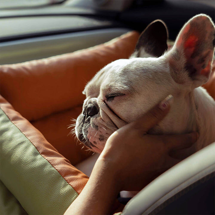 Deluxe pet car seat booster; comfortable dog travel bed, easy to clean surface.