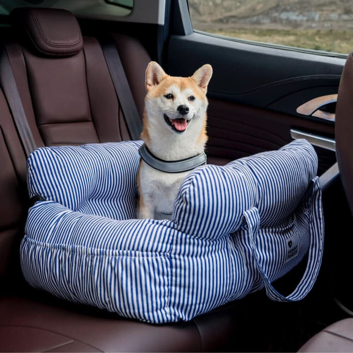 Elevated dog car seat for small dogs, offering improved visibility and safety features.