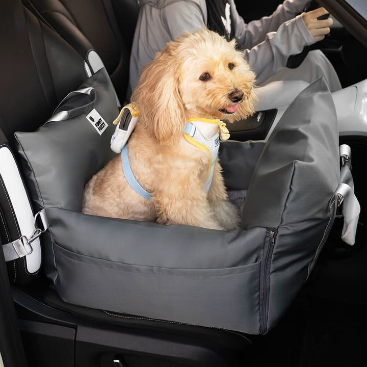 Dog car accessory: safety belt equipped booster seat for small to medium pets.