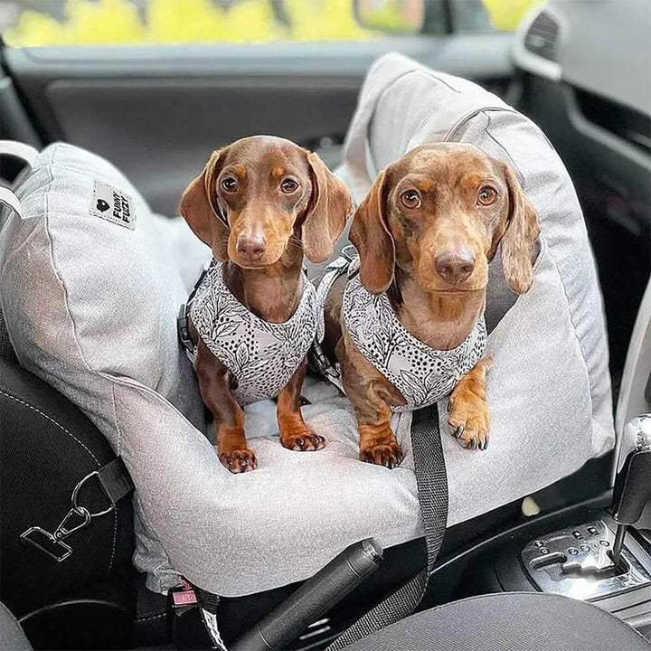 Secure dog car seat for small and medium dogs, featuring a comfort design.