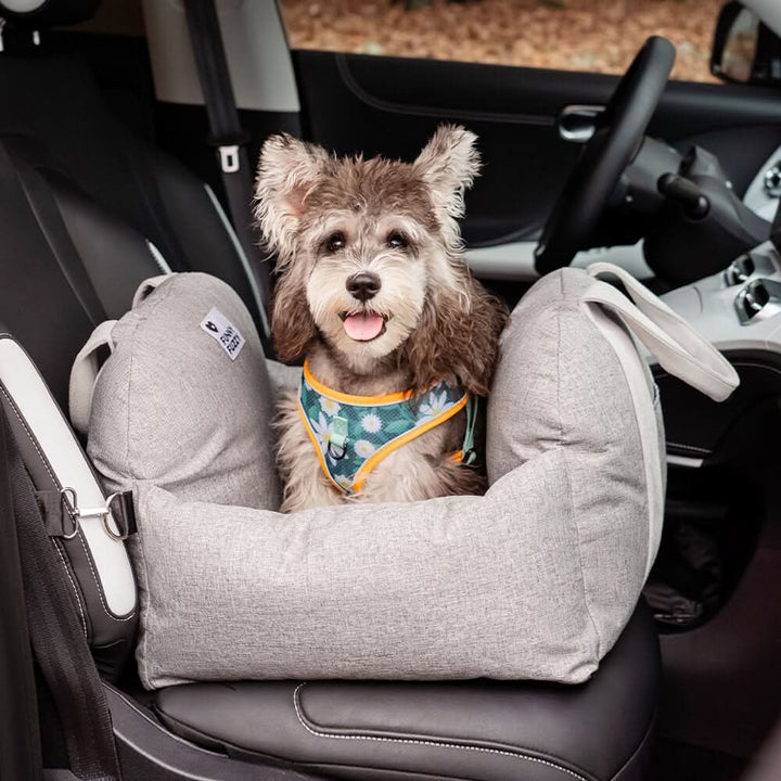Pet car travel booster seat, enhancing dog safety and comfort on long drives.