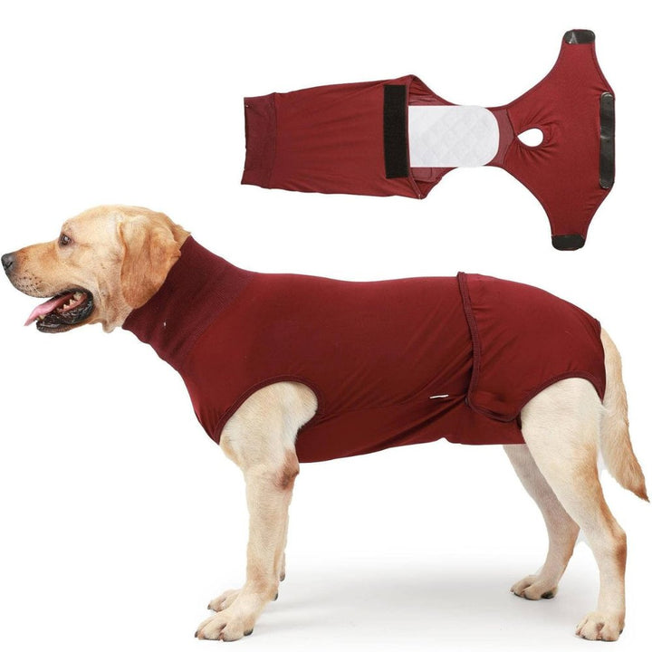Dog Recovery Suit for post-surgery protection & anxiety relief. Soft, breathable pet healing vest.