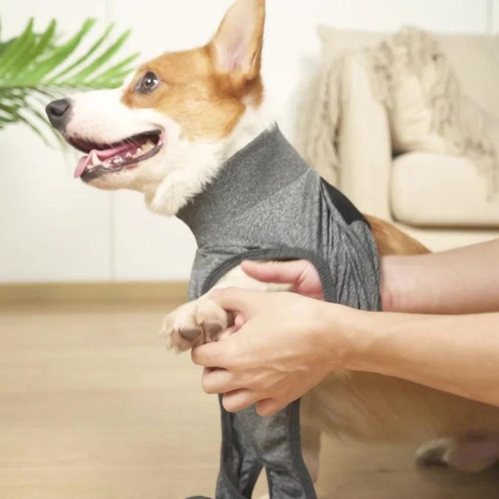 Cone alternative Dog Recovery Suit for dogs. Protects wounds & provides anxiety relief after surgery.