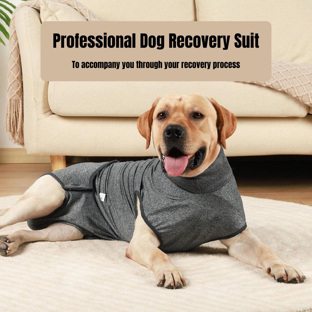 Comfortable blue Dog Recovery Suit for post-surgery recovery, wound protection, and anxiety relief.