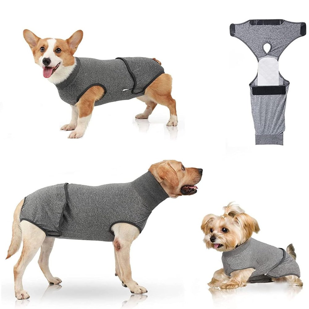 Dog Recovery Suit for post-surgery recovery, anxiety relief, & wound protection. A comfy cone alternative.