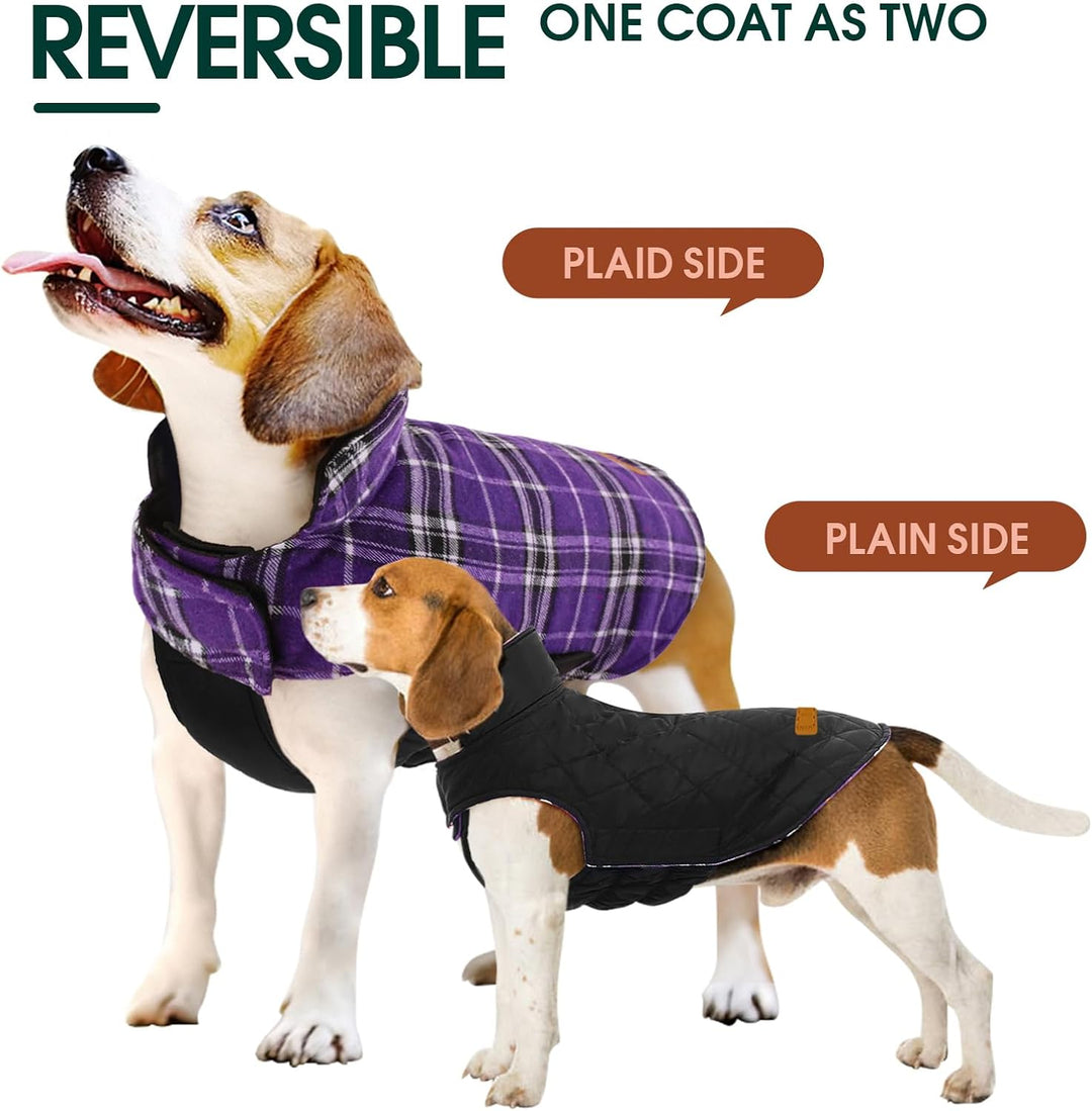 Warm dog apparel: Reversible British check waterproof coat for chilly days.