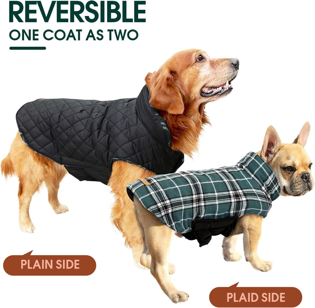 Dog's cold weather gear: Reversible British check waterproof winter coat, cozy and chic.