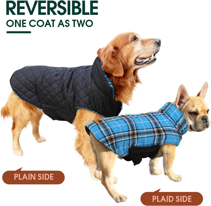 Essential winter dog coat: Reversible British check, waterproof, and super warm.