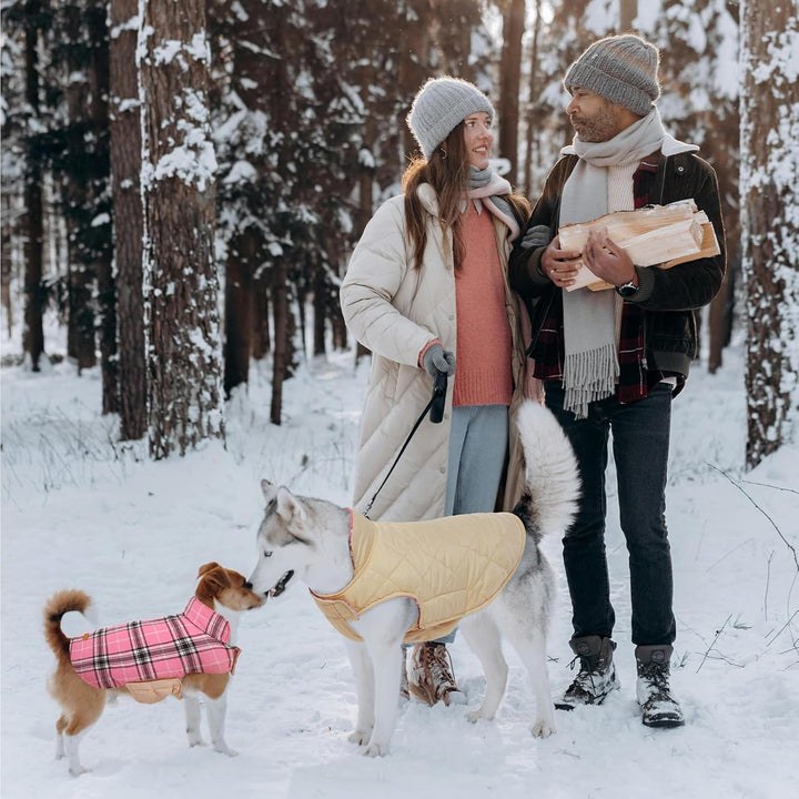 Reversible waterproof dog coat in classic British check for fashionable warmth.