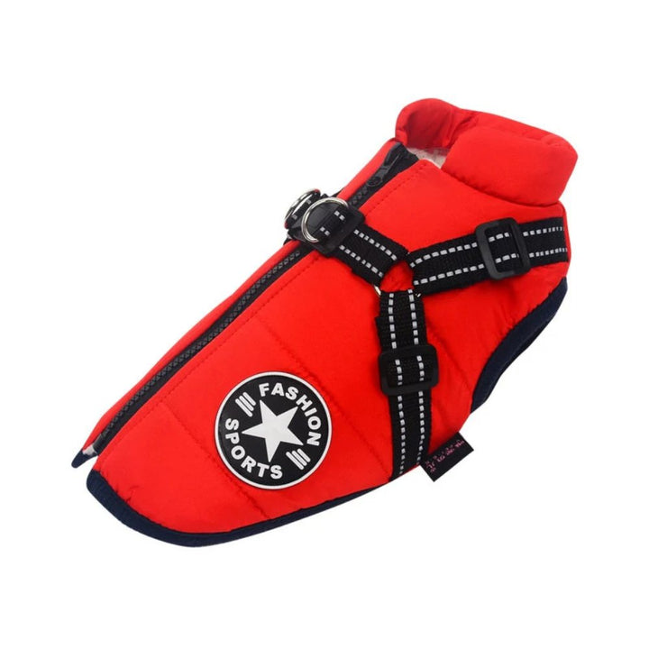 Essential pet gear: DryPaw waterproof dog coat with integrated harness for snowy walks.
