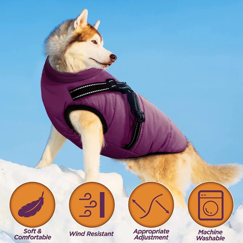 Warm DryPaw winter dog jacket with built-in harness, ideal for cold weather.