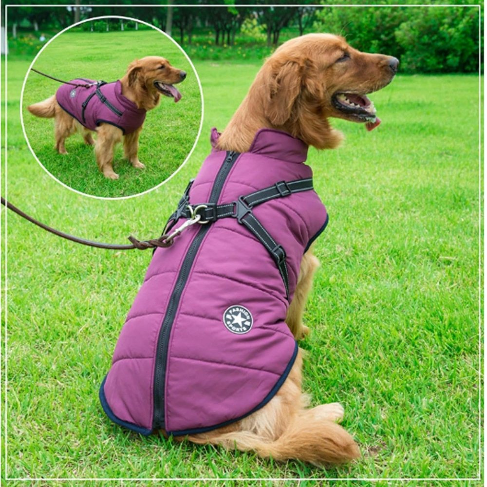 Pet apparel: Waterproof dog coat with integrated harness, perfect for outdoor dog gear.