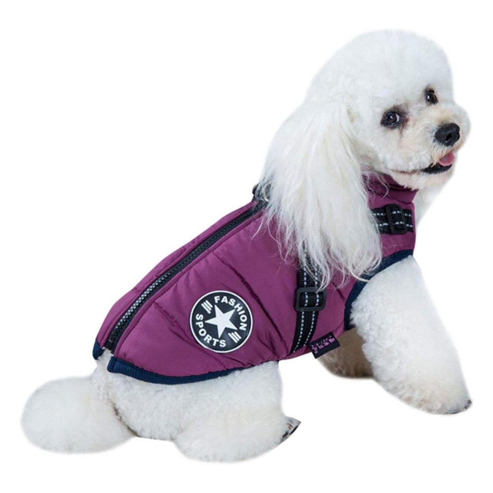 DryPaw integrated harness dog coat provides warmth & dryness for winter pet adventures.