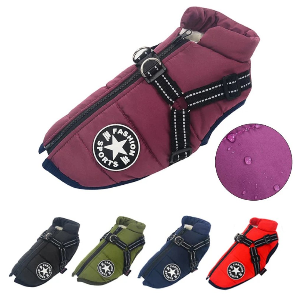 High-quality DryPaw waterproof dog winter coat, featuring an easy-to-use integrated harness.