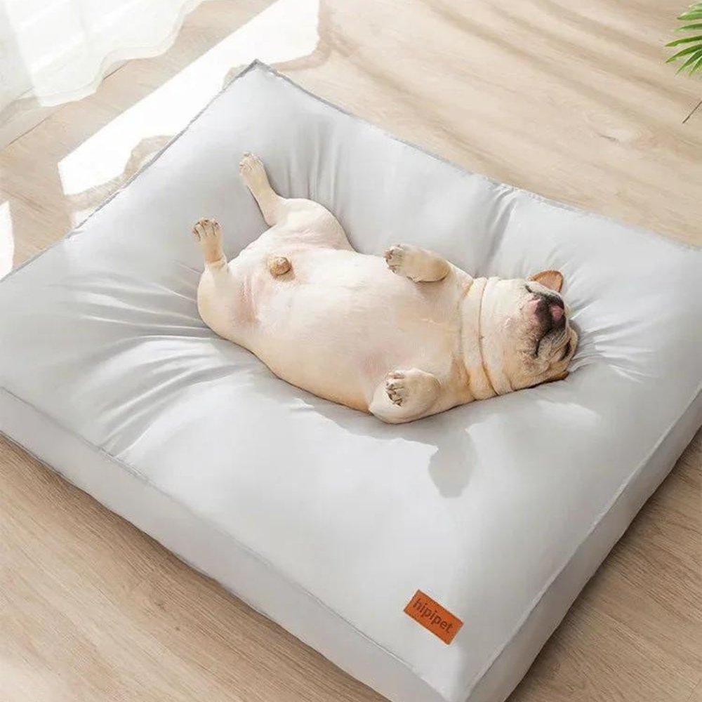 Luxury waterproof dog bed, perfect for pet comfort. Washable & durable design ensures long-lasting use.