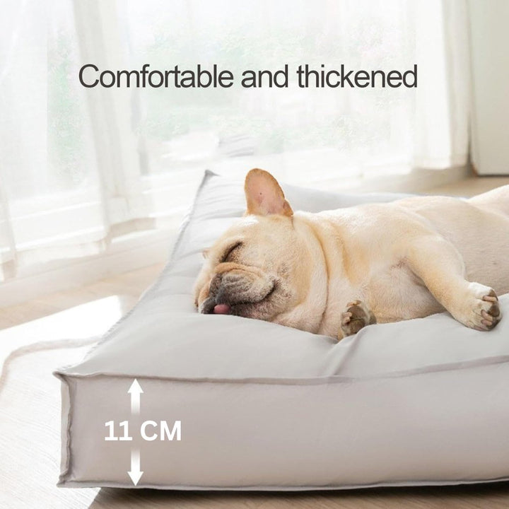 Washable dog bed for ultimate pet comfort. Features waterproof fabric & joint support for all dog breeds.