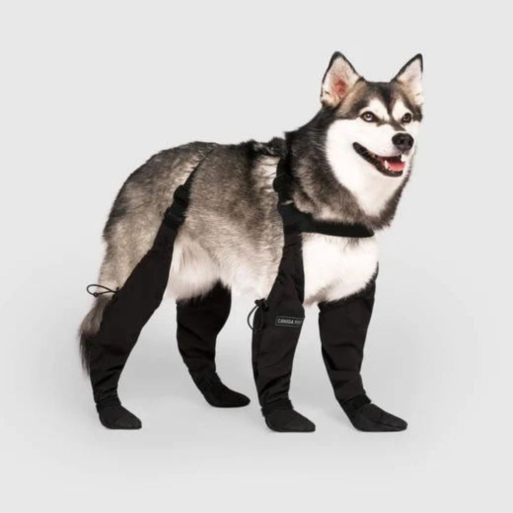 Durable, waterproof dog boots for paw protection during outdoor adventures. Ideal for active dogs and walking.