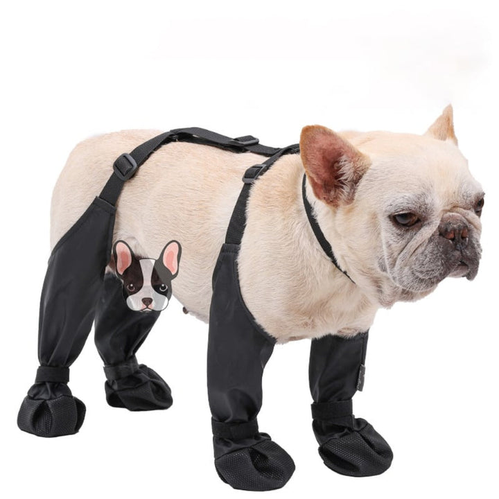 Adventure dog boots offering paw protection. Waterproof & durable dog shoes for walking, hiking, and outdoor activities.