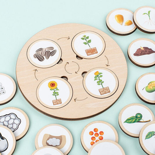 Educational wooden life cycle puzzle for kids, vibrant colors, illustrating a butterfly's transformation.