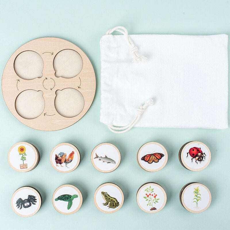 Child's hands engaging with a wooden life cycle puzzle, developing motor skills, educational nature toy.