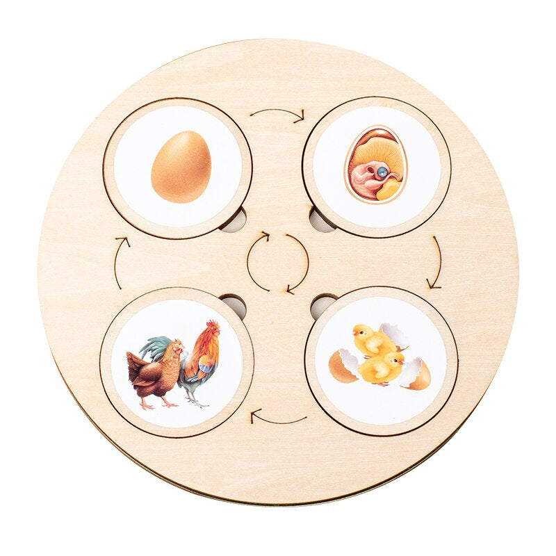Wooden life cycle puzzle featuring a plant's growth, bright pieces, perfect educational toy for young children.