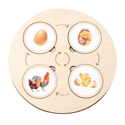 Wooden life cycle puzzle featuring a plant's growth, bright pieces, perfect educational toy for young children.