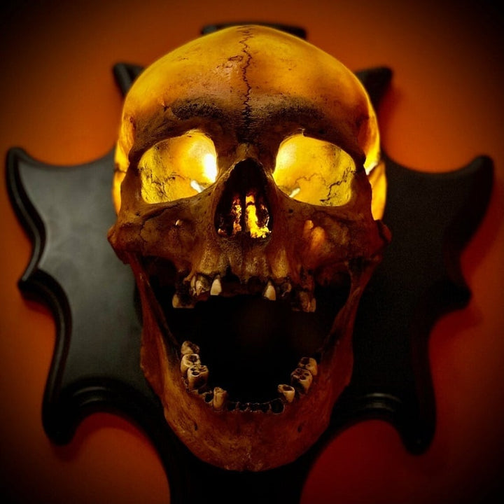 Gothic skull wall lamp, Nocturiskull, providing a unique eerie light & spooky ambiance. Ideal resin wall decor for Halloween.