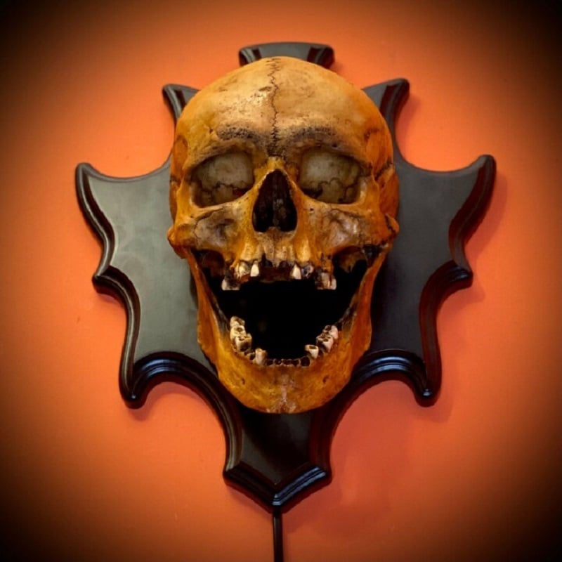 Nocturiskull Eerie Skull Wall Lamp, a unique resin light creating spooky ambiance. Perfect gothic or Halloween wall decor.