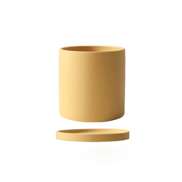 Stylish matte ceramic flowerpot & saucer, a perfect addition to any indoor plant setting.