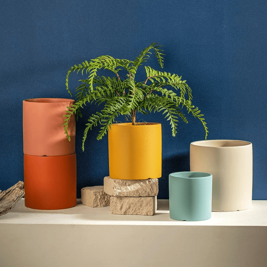 Indoor plant pot: elegant ceramic flowerpot with matte finish and matching drainage saucer.
