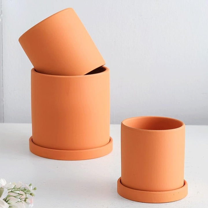 Chic ceramic flowerpot with drainage saucer, enhancing your indoor plant decor.