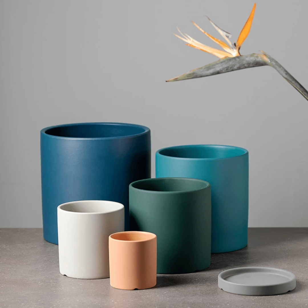 Modern ceramic planter with an integrated saucer, perfect for healthy indoor plants.