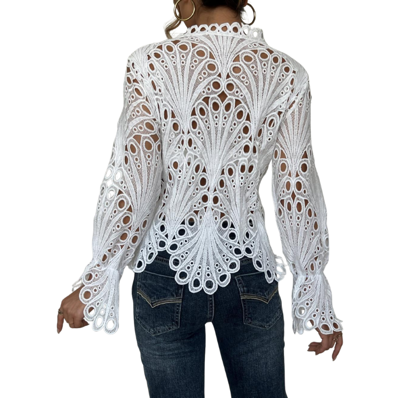Fashionable women's elegant long sleeve lace cutwork blouse, an airy hollow top for any occasion.
