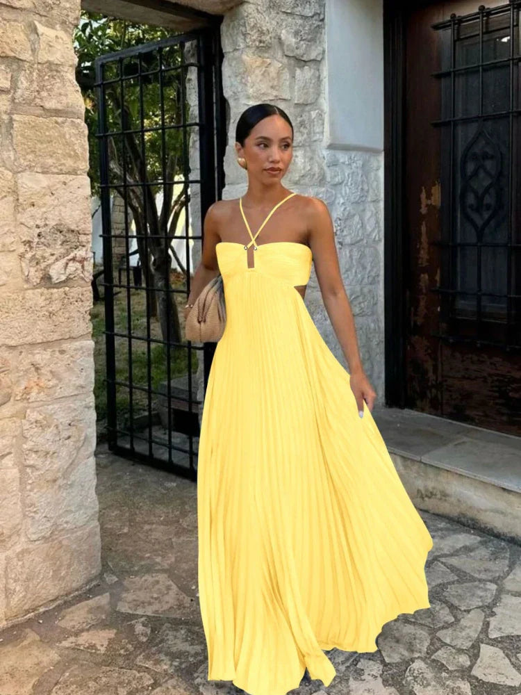 Stylish sleeveless maxi dress with a pleated skirt & halter neckline, ideal for evening parties.