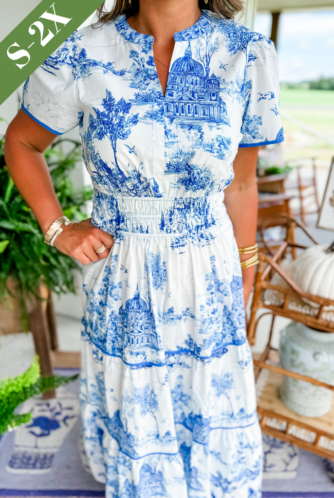 Spring garden party women's dress: Elegant toile print smocked maxi with V-neck.