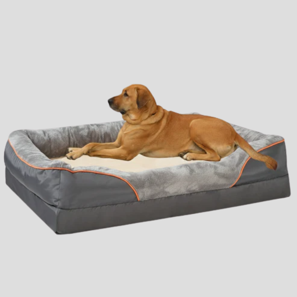 Durable memory foam dog bed with washable cover, providing orthopedic support for large dogs.