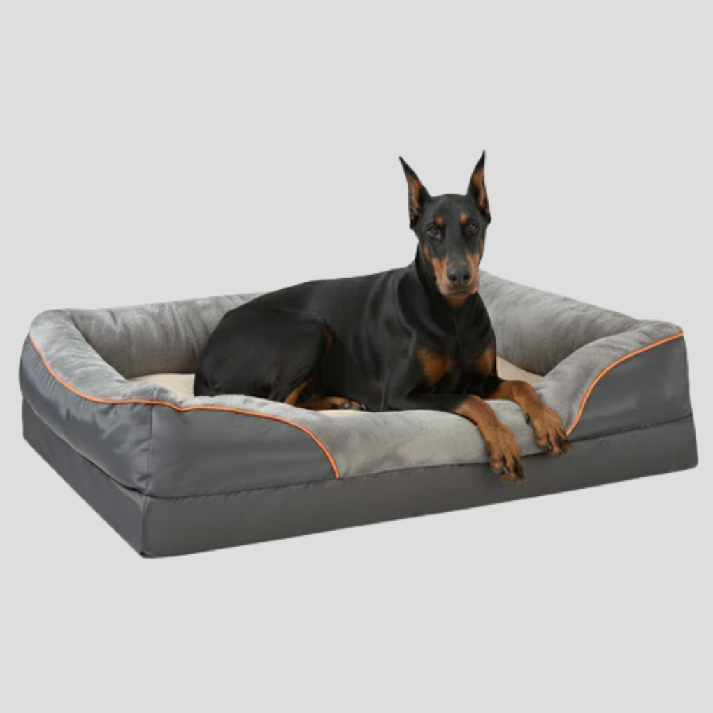 Comfortable extra-large memory foam dog bed with washable cover, ideal for large dogs needing orthopedic support.