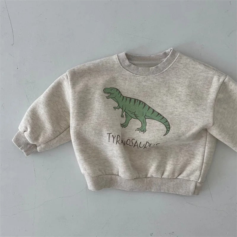 Kids' clothing: dinosaur print fleece-lined sweatshirt, durable and warm for active toddlers