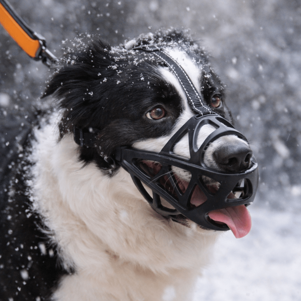Gentle dog muzzle for safe everyday use, preventing bites & barking. Breathable & soft for comfort.
