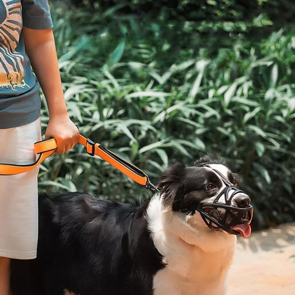 Breathable black dog muzzle, a crucial pet accessory for responsible behavior control & safety.
