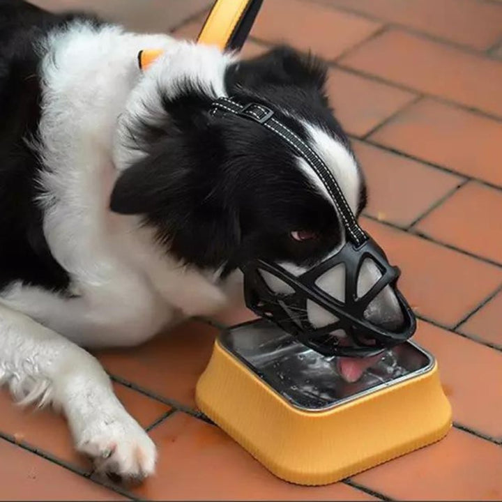 Everyday gentle dog muzzle for safe interactions, prevents biting, barking & encourages good manners.